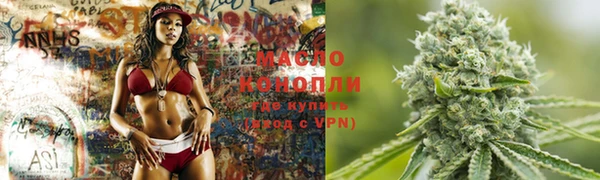 молекула духа Балахна